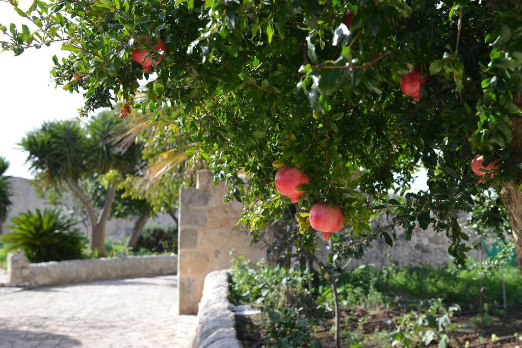 רגוזה Relais Cimilla B&B מראה חיצוני תמונה